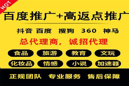 SEM专员的角色与成功案例解析